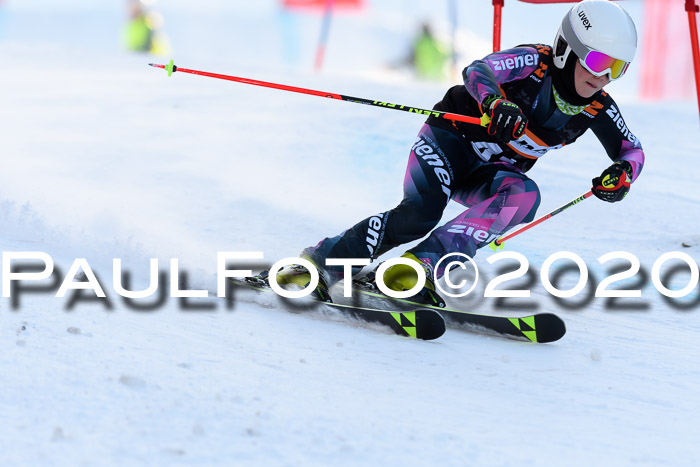 Ziener Kids Cross U12 + Reischmann Cup ASV/WF