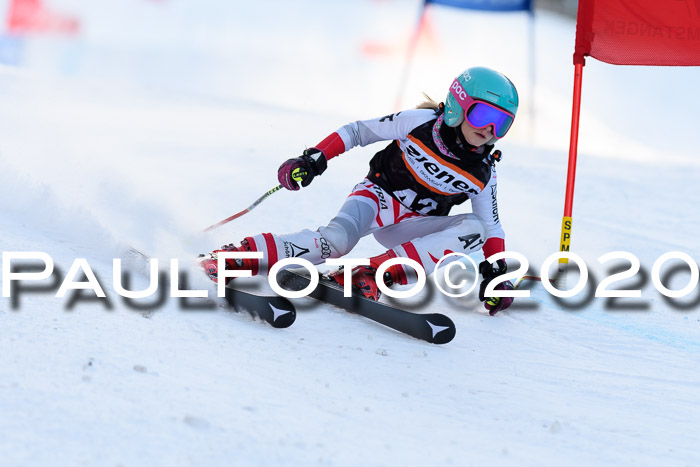 Ziener Kids Cross U12 + Reischmann Cup ASV/WF