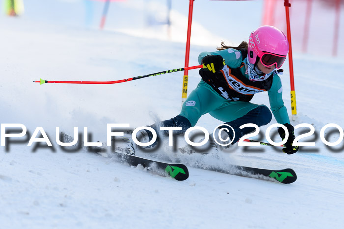 Ziener Kids Cross U12 + Reischmann Cup ASV/WF