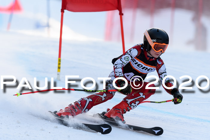 Ziener Kids Cross U12 + Reischmann Cup ASV/WF