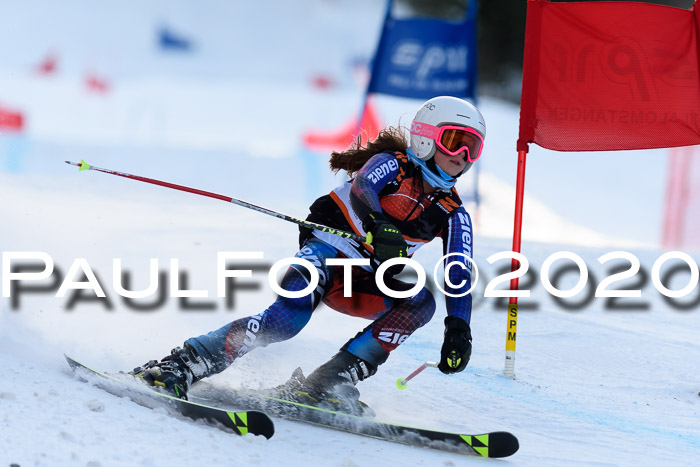 Ziener Kids Cross U12 + Reischmann Cup ASV/WF