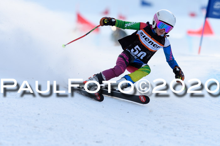 Ziener Kids Cross U12 + Reischmann Cup ASV/WF