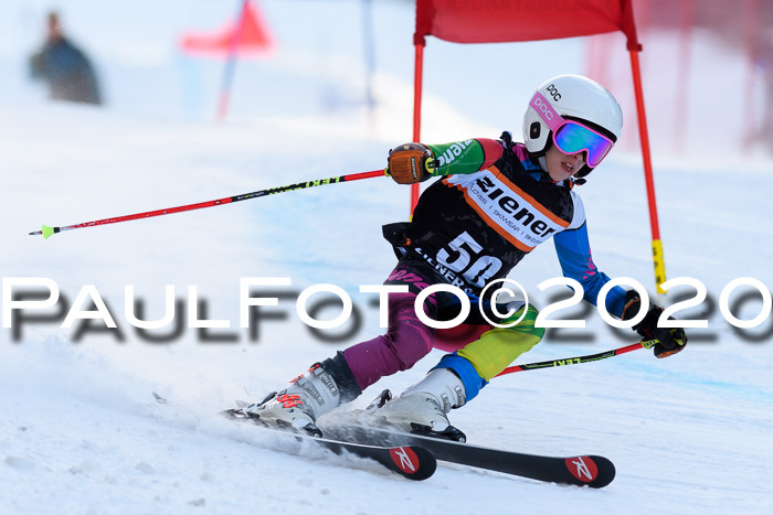 Ziener Kids Cross U12 + Reischmann Cup ASV/WF