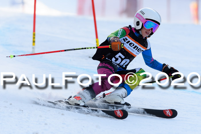 Ziener Kids Cross U12 + Reischmann Cup ASV/WF