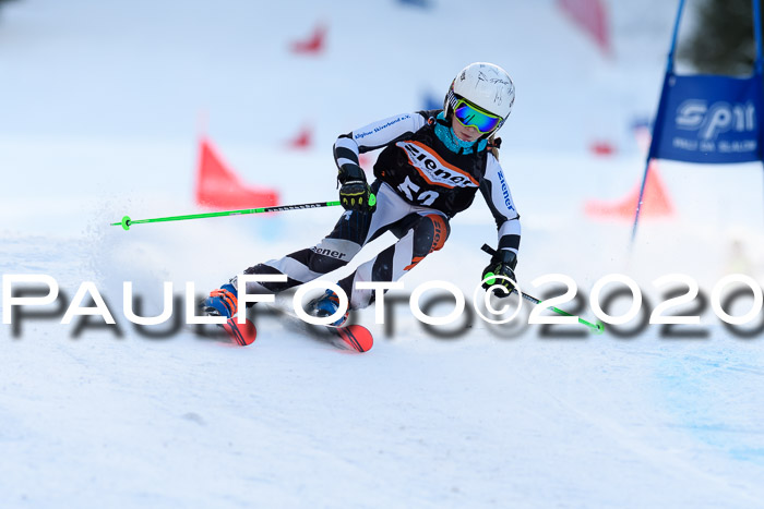 Ziener Kids Cross U12 + Reischmann Cup ASV/WF