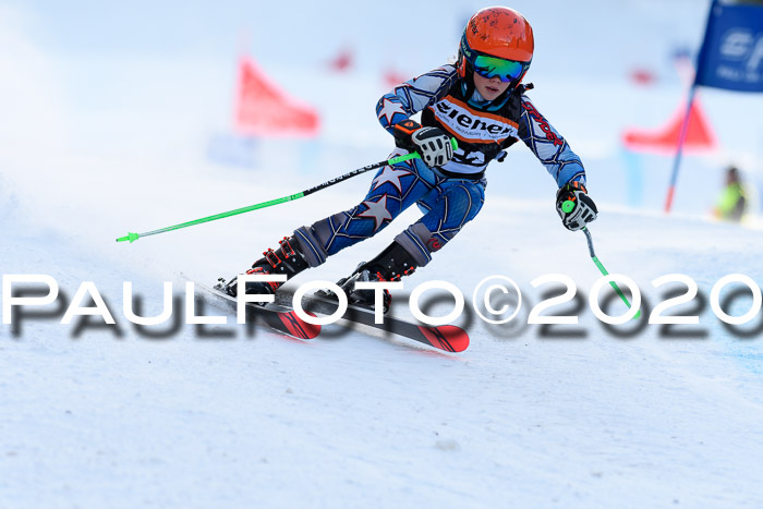 Ziener Kids Cross U12 + Reischmann Cup ASV/WF