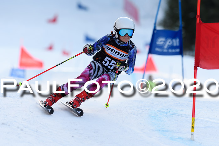 Ziener Kids Cross U12 + Reischmann Cup ASV/WF