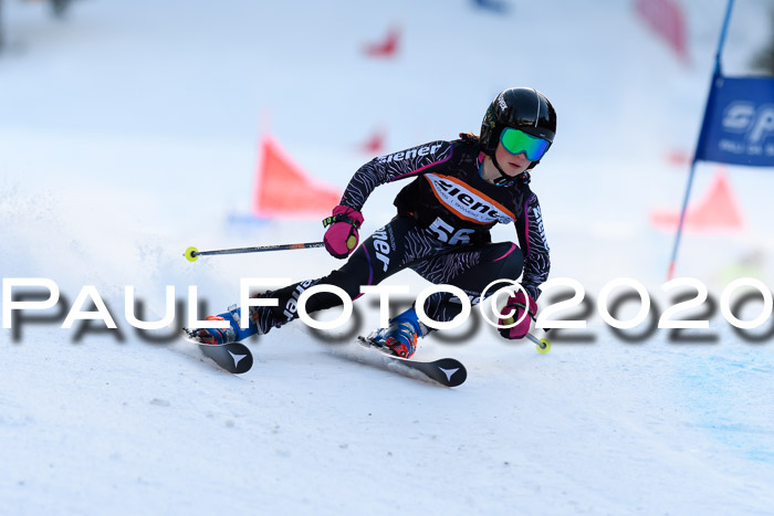 Ziener Kids Cross U12 + Reischmann Cup ASV/WF