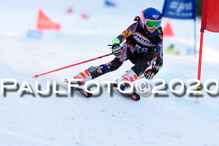 Ziener Kids Cross U12 + Reischmann Cup ASV/WF