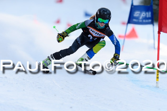 Ziener Kids Cross U12 + Reischmann Cup ASV/WF