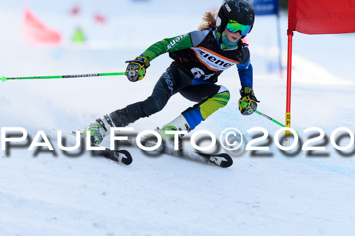 Ziener Kids Cross U12 + Reischmann Cup ASV/WF