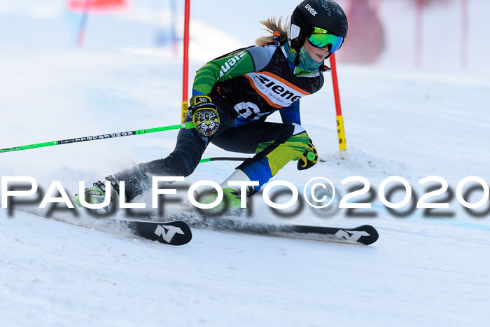 Ziener Kids Cross U12 + Reischmann Cup ASV/WF
