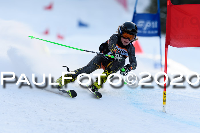 Ziener Kids Cross U12 + Reischmann Cup ASV/WF
