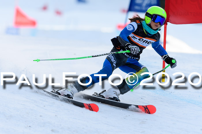 Ziener Kids Cross U12 + Reischmann Cup ASV/WF