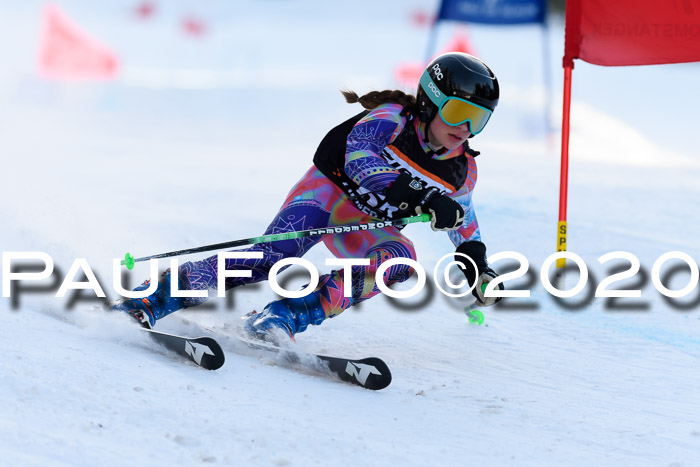 Ziener Kids Cross U12 + Reischmann Cup ASV/WF
