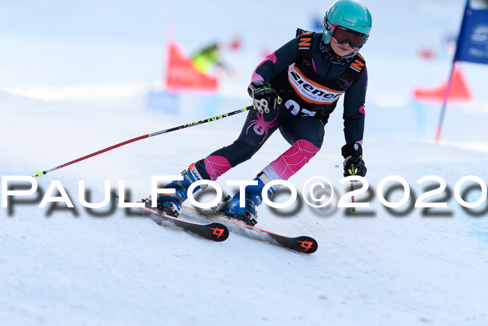 Ziener Kids Cross U12 + Reischmann Cup ASV/WF