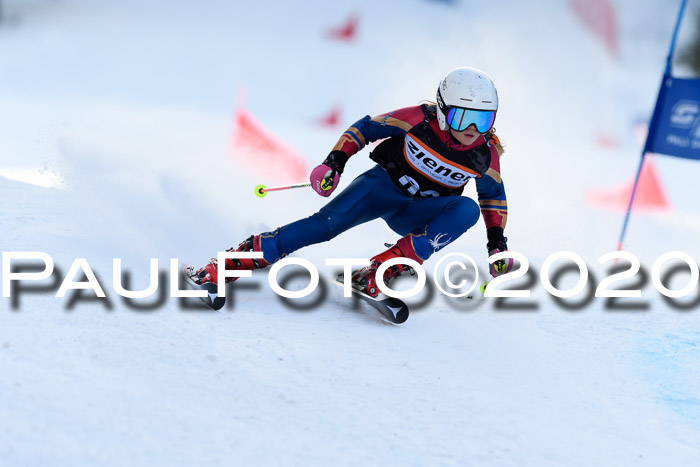 Ziener Kids Cross U12 + Reischmann Cup ASV/WF