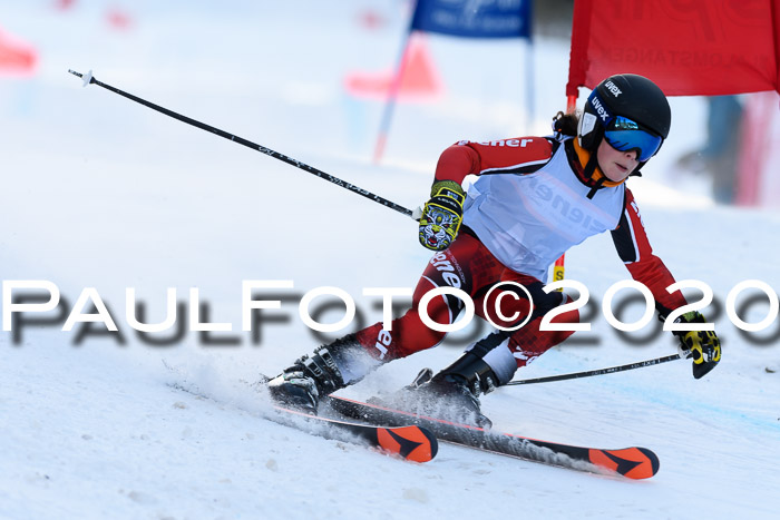 Ziener Kids Cross U12 + Reischmann Cup ASV/WF