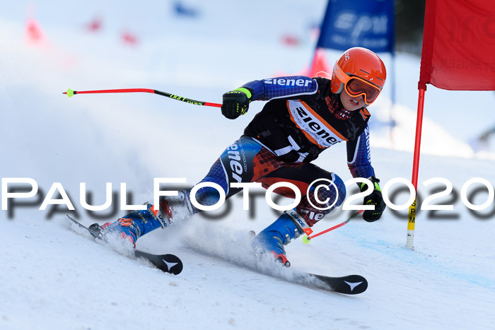 Ziener Kids Cross U12 + Reischmann Cup ASV/WF