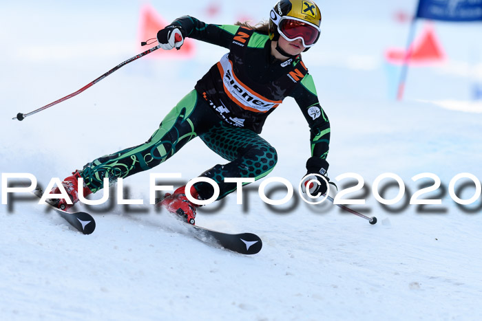 Ziener Kids Cross U12 + Reischmann Cup ASV/WF
