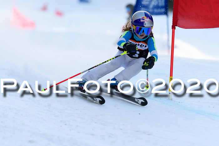 Ziener Kids Cross U12 + Reischmann Cup ASV/WF