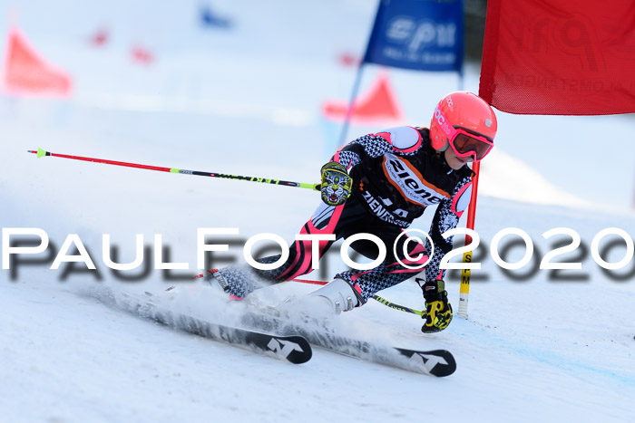 Ziener Kids Cross U12 + Reischmann Cup ASV/WF