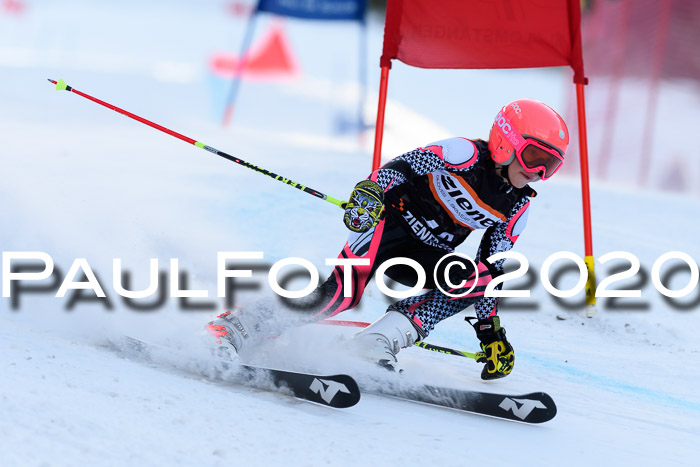 Ziener Kids Cross U12 + Reischmann Cup ASV/WF