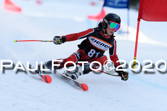 Ziener Kids Cross U12 + Reischmann Cup ASV/WF