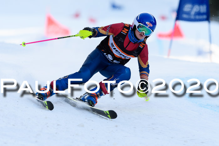 Ziener Kids Cross U12 + Reischmann Cup ASV/WF