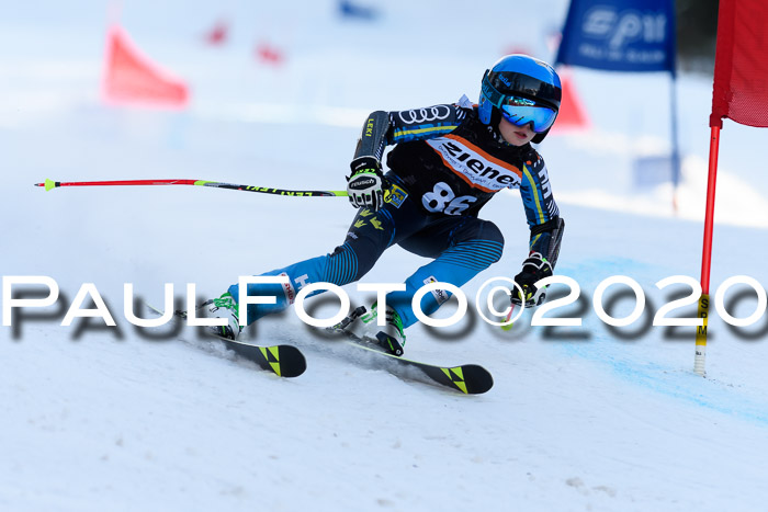 Ziener Kids Cross U12 + Reischmann Cup ASV/WF