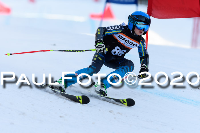 Ziener Kids Cross U12 + Reischmann Cup ASV/WF