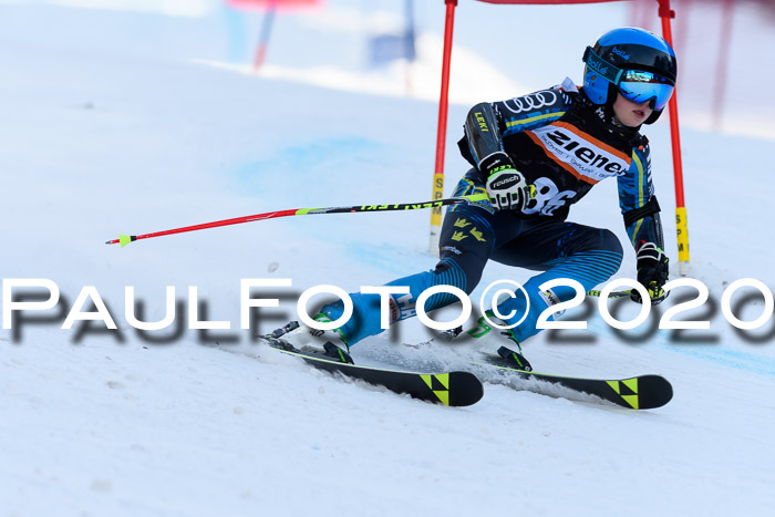 Ziener Kids Cross U12 + Reischmann Cup ASV/WF