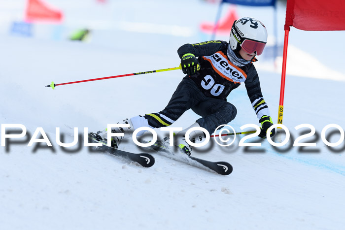 Ziener Kids Cross U12 + Reischmann Cup ASV/WF