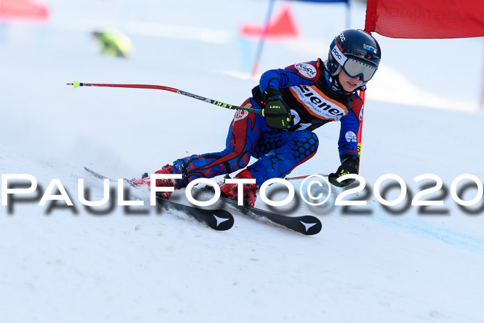 Ziener Kids Cross U12 + Reischmann Cup ASV/WF