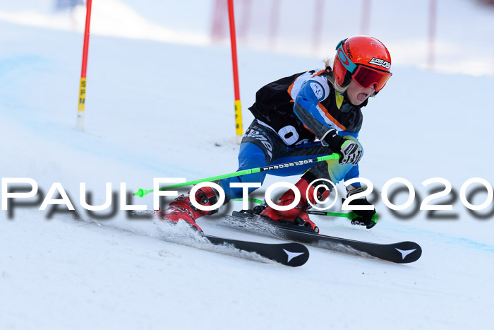Ziener Kids Cross U12 + Reischmann Cup ASV/WF