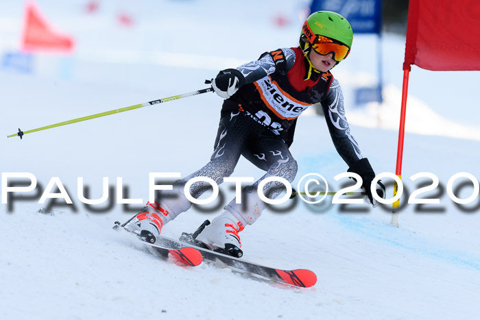Ziener Kids Cross U12 + Reischmann Cup ASV/WF
