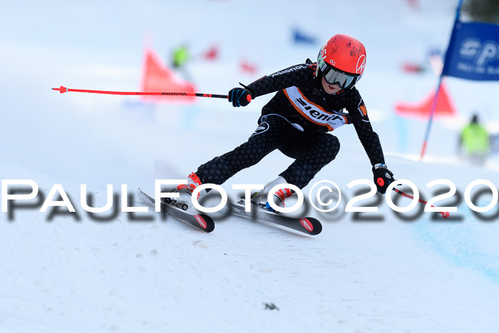 Ziener Kids Cross U12 + Reischmann Cup ASV/WF