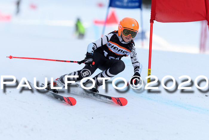 Ziener Kids Cross U12 + Reischmann Cup ASV/WF