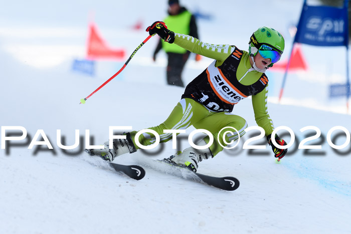 Ziener Kids Cross U12 + Reischmann Cup ASV/WF