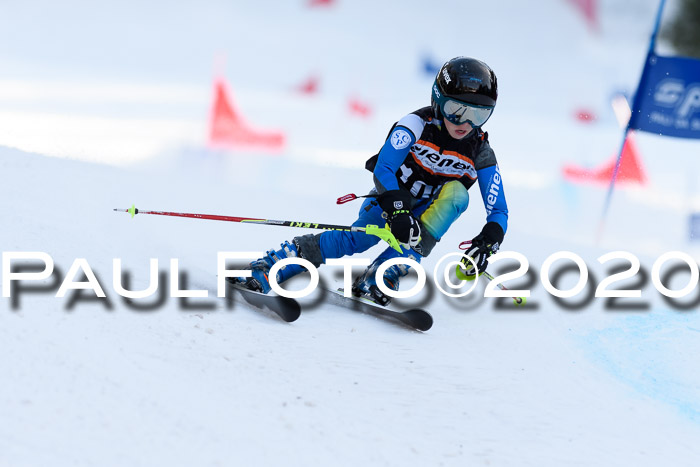 Ziener Kids Cross U12 + Reischmann Cup ASV/WF