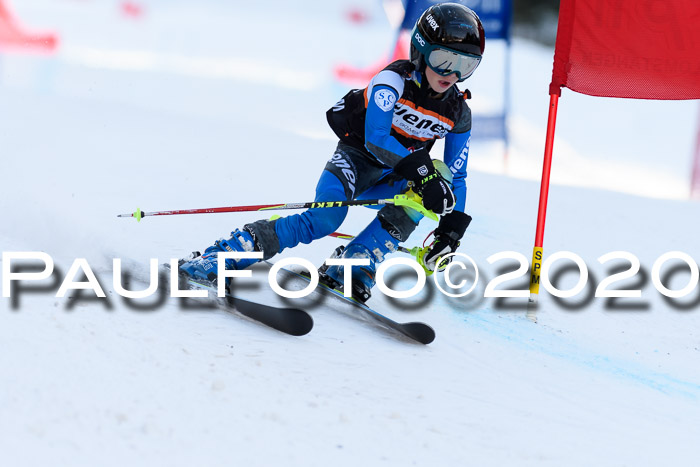 Ziener Kids Cross U12 + Reischmann Cup ASV/WF