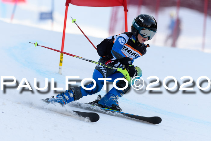 Ziener Kids Cross U12 + Reischmann Cup ASV/WF