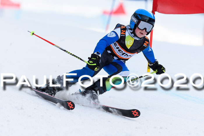 Ziener Kids Cross U12 + Reischmann Cup ASV/WF
