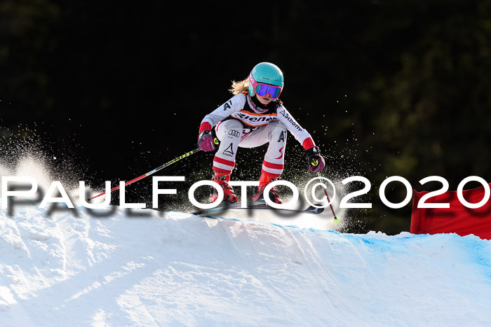 Ziener Kids Cross U12 + Reischmann Cup ASV/WF