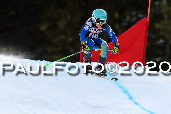 Ziener Kids Cross U12 + Reischmann Cup ASV/WF