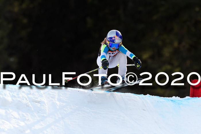 Ziener Kids Cross U12 + Reischmann Cup ASV/WF
