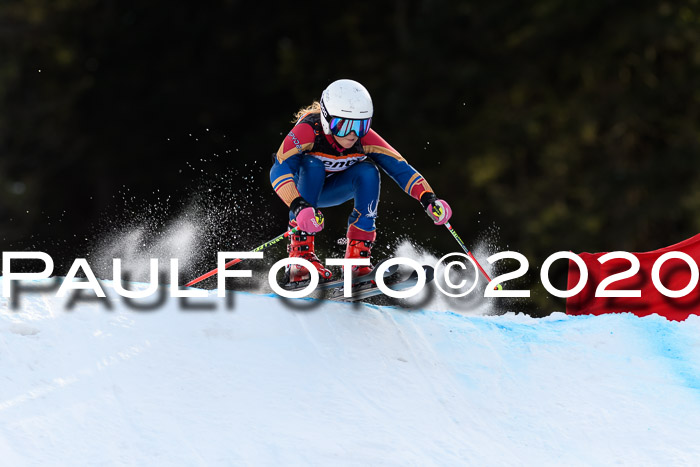 Ziener Kids Cross U12 + Reischmann Cup ASV/WF