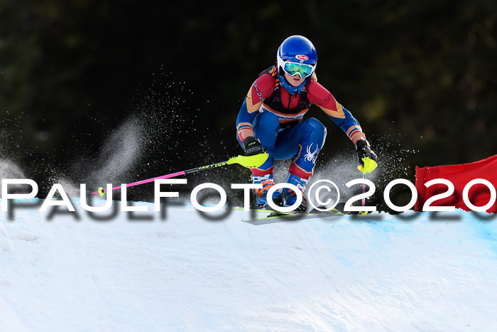 Ziener Kids Cross U12 + Reischmann Cup ASV/WF