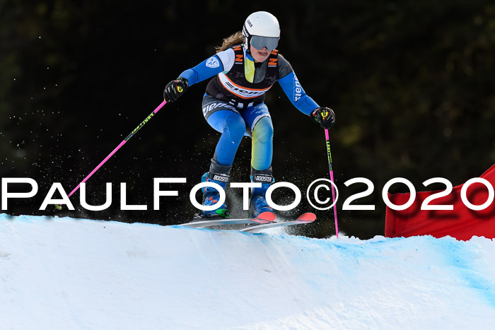 Ziener Kids Cross U12 + Reischmann Cup ASV/WF