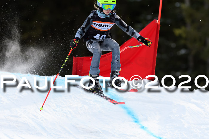 Ziener Kids Cross U12 + Reischmann Cup ASV/WF